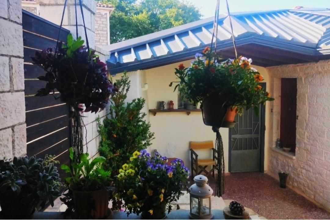 The Traditional Greek House Янина Экстерьер фото